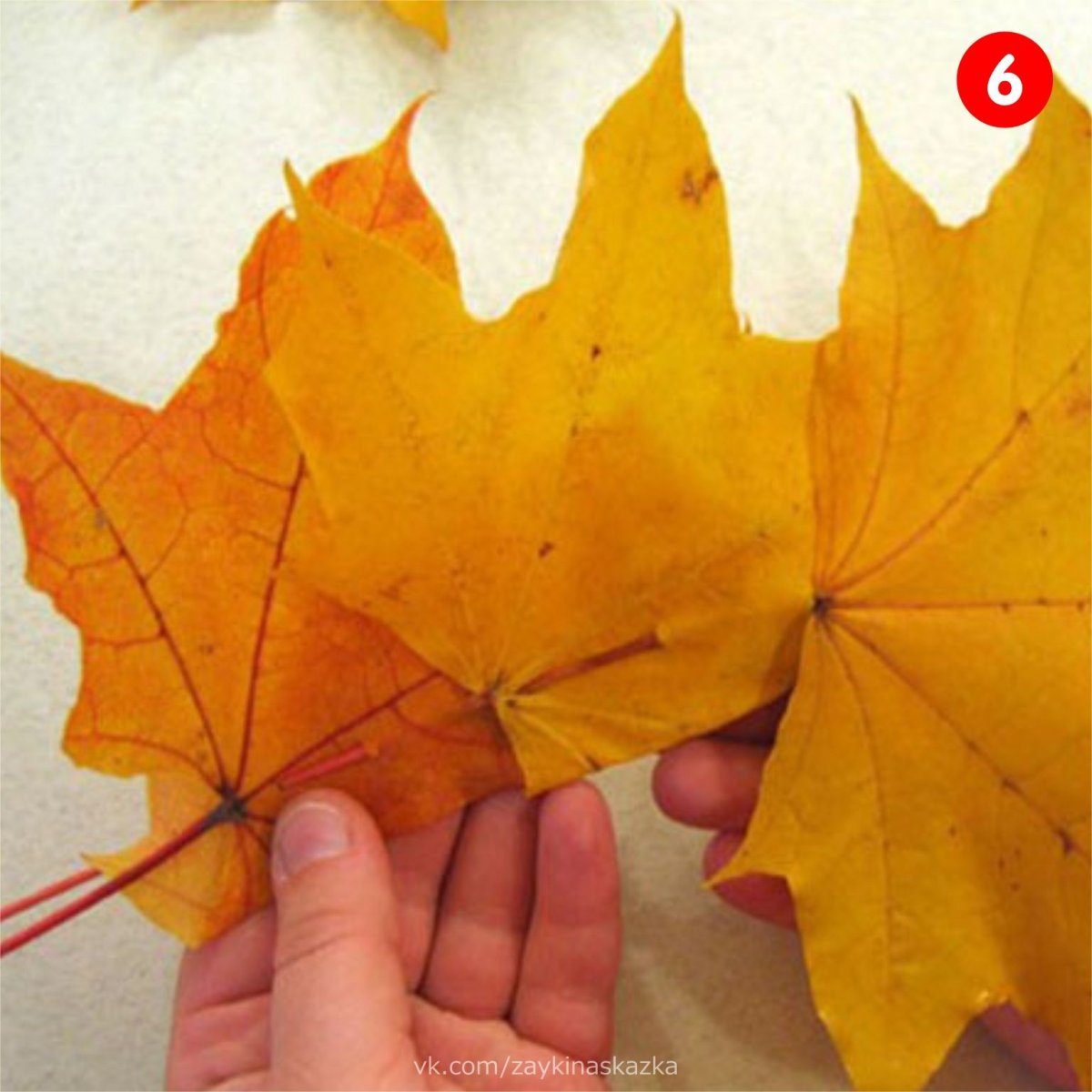 Корона из листьев клена