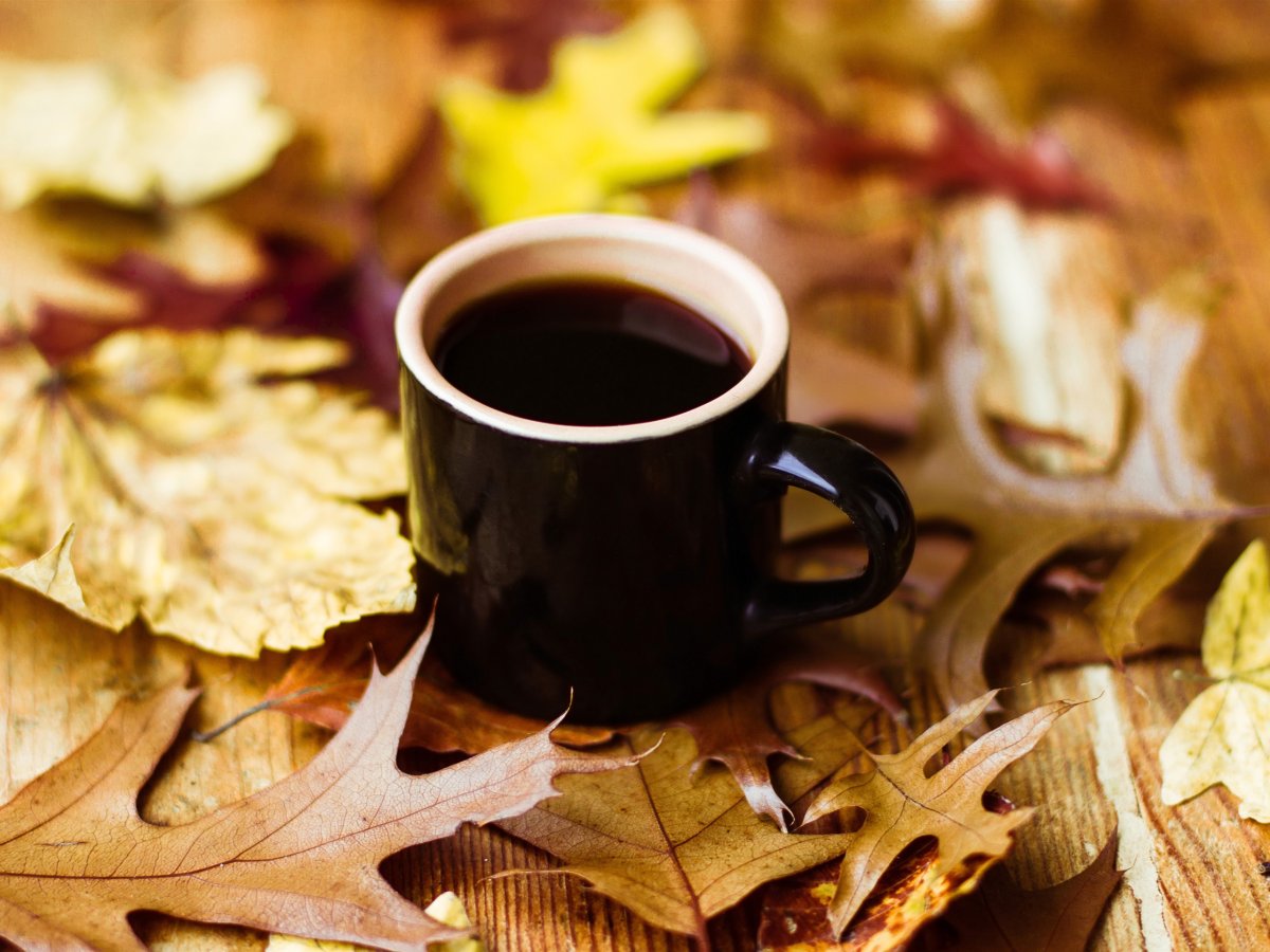 Осень в кружке с кофе
