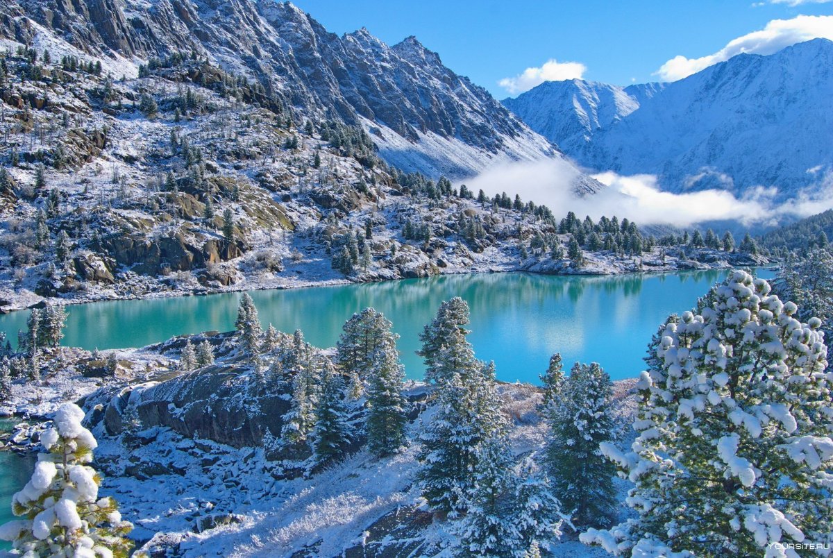 Зимний пейзаж с озером