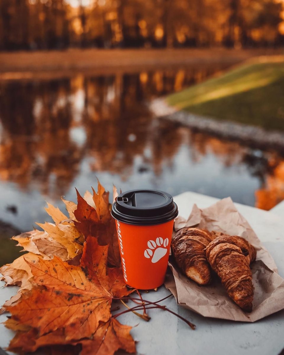Осенние пейзажи с кофе