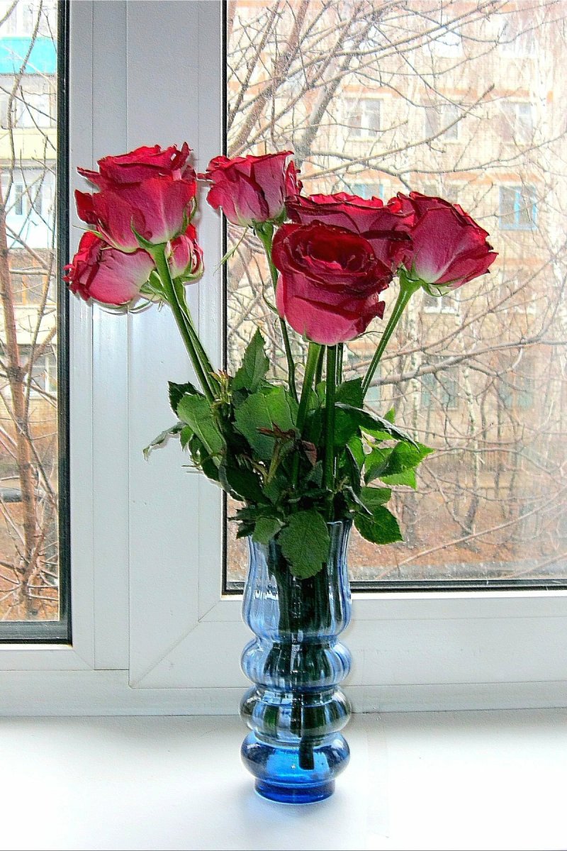 Букет цветов в вазе на окне