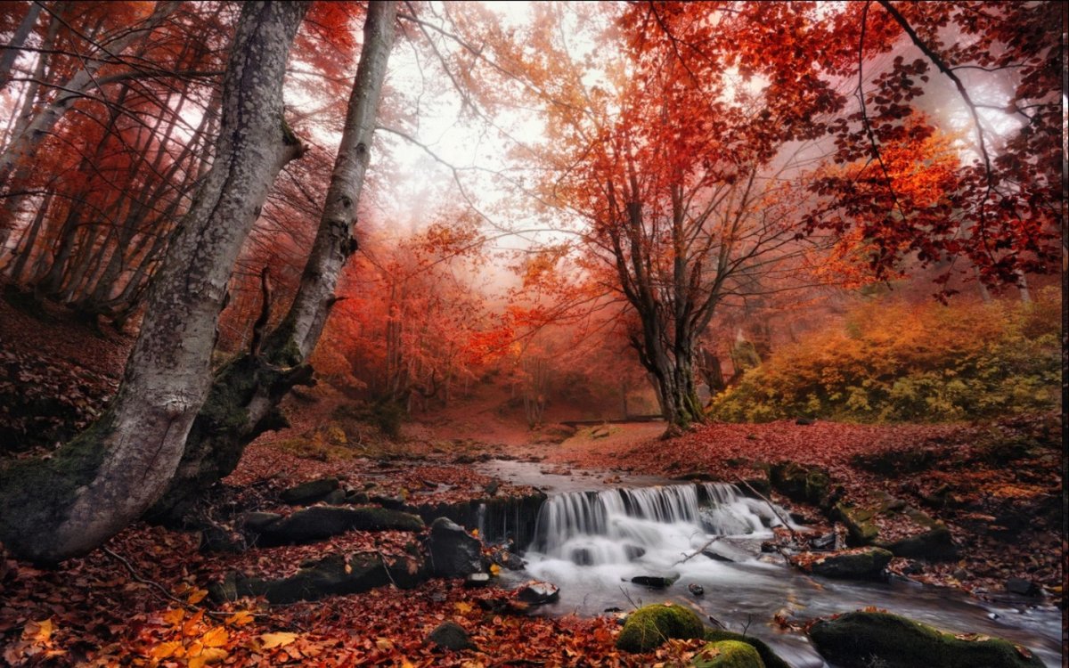 Mystic autumn