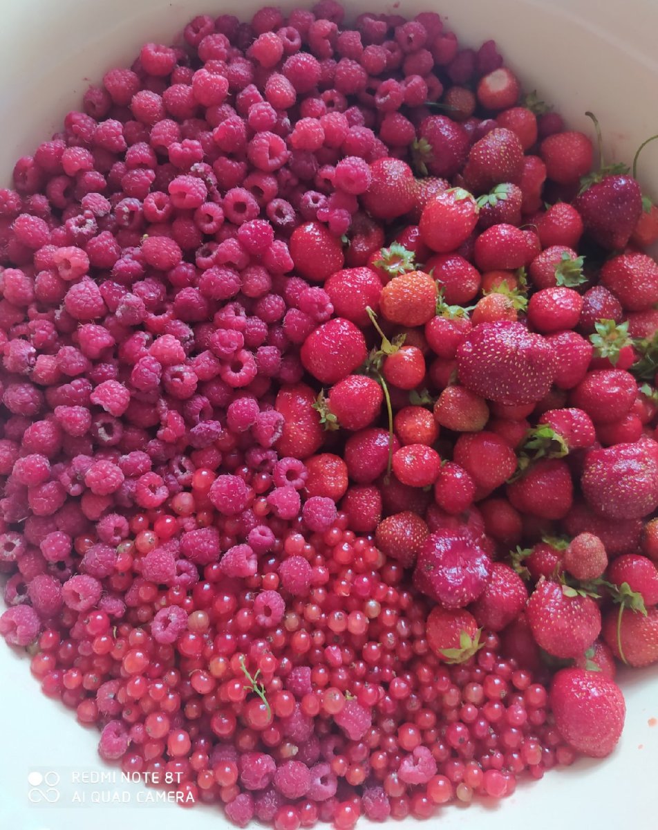 Кустовые ягоды