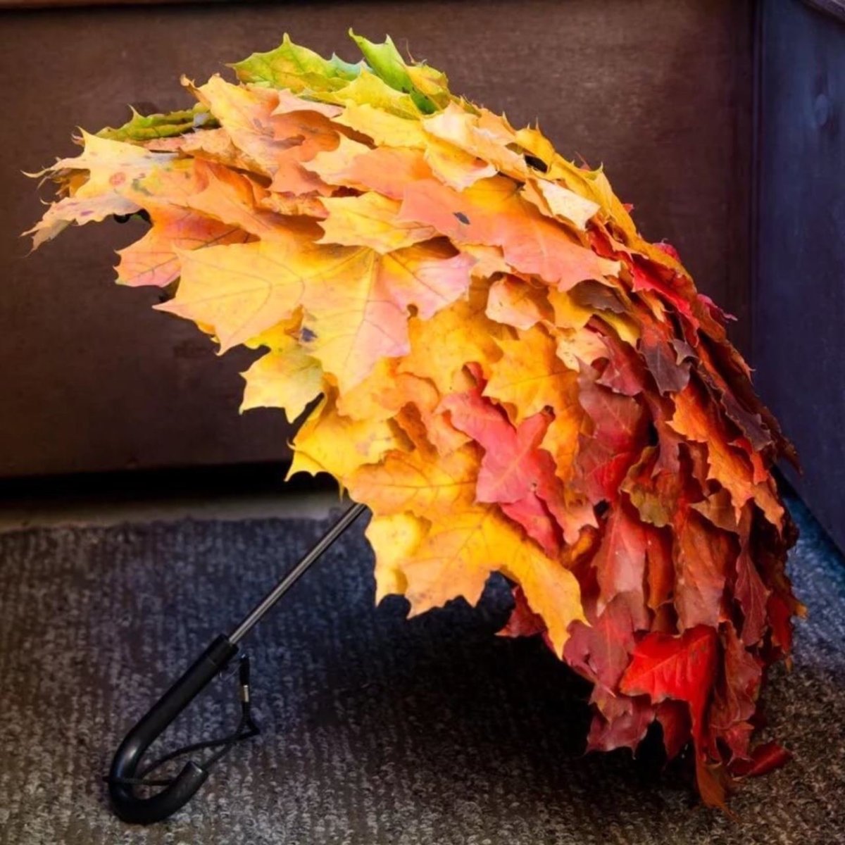 Зонт из осенних листьев