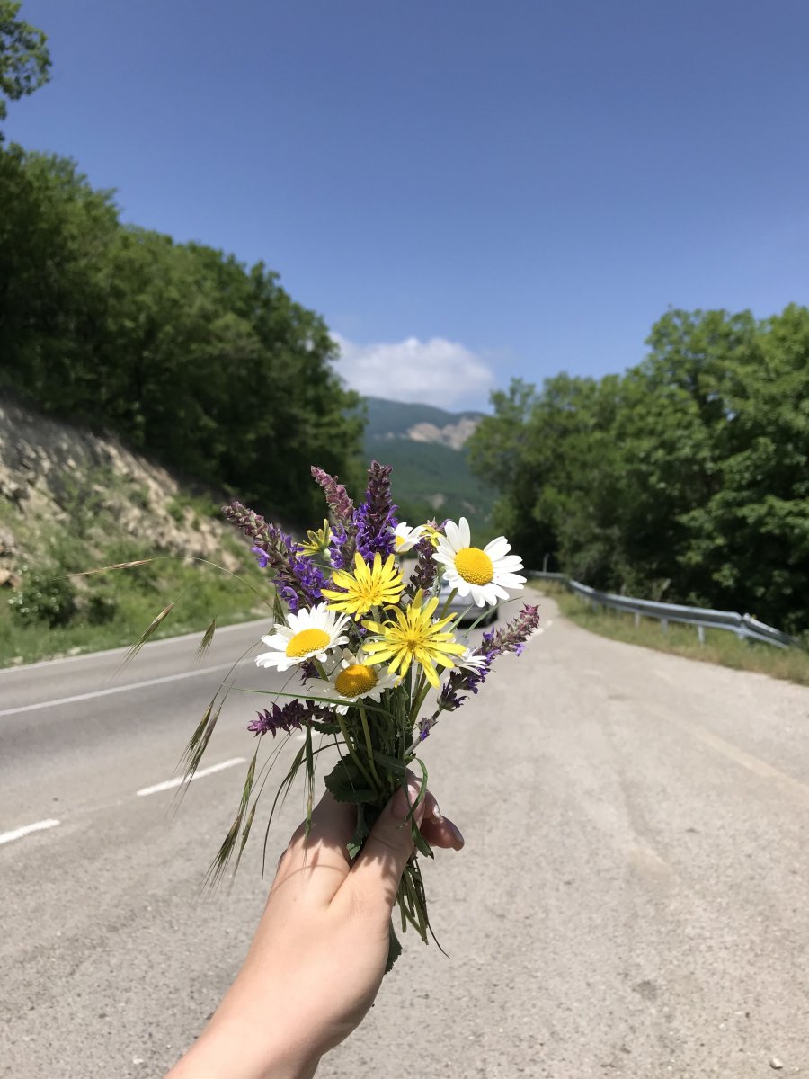 Грузинские цветы