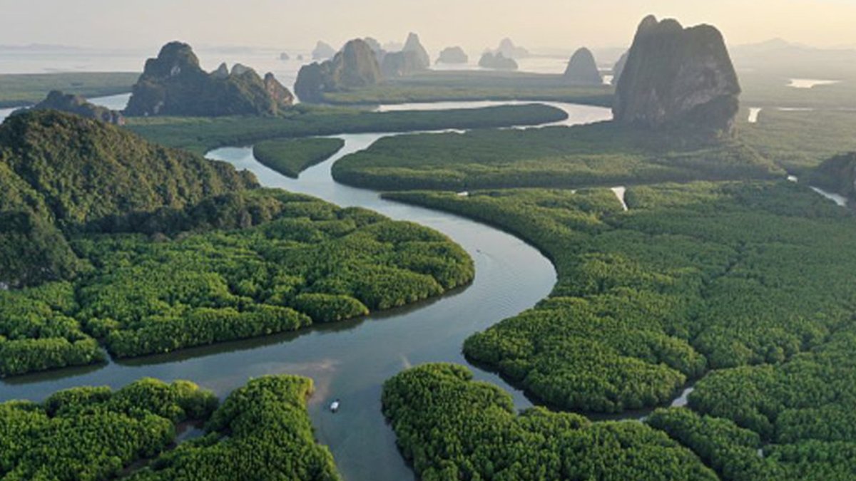 Вид устья реки амазонка