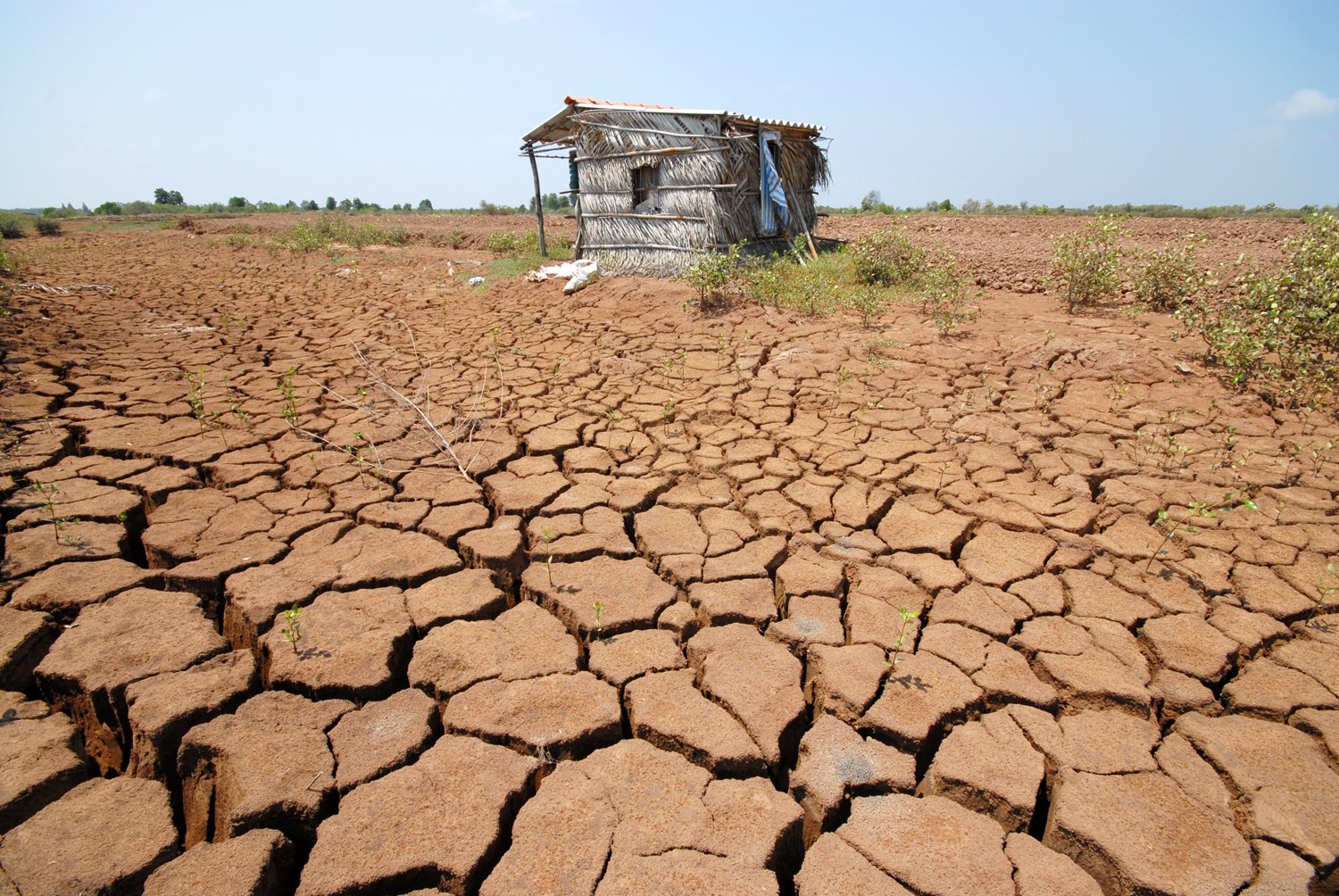 Атмосферная засуха. Опустынивание и деградация почвы. Засуха Узбекистан. Деградация и опустынивание земель в Африке. Эрозия почвы.