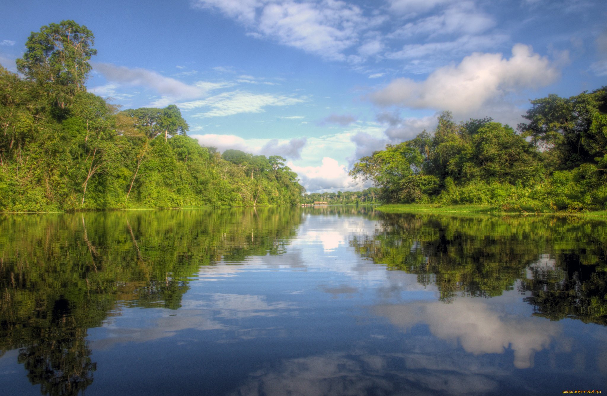 Река Амазонка. Природа амазонки. Красивый пейзаж Амазонка. Пейзажи реки амазонки.