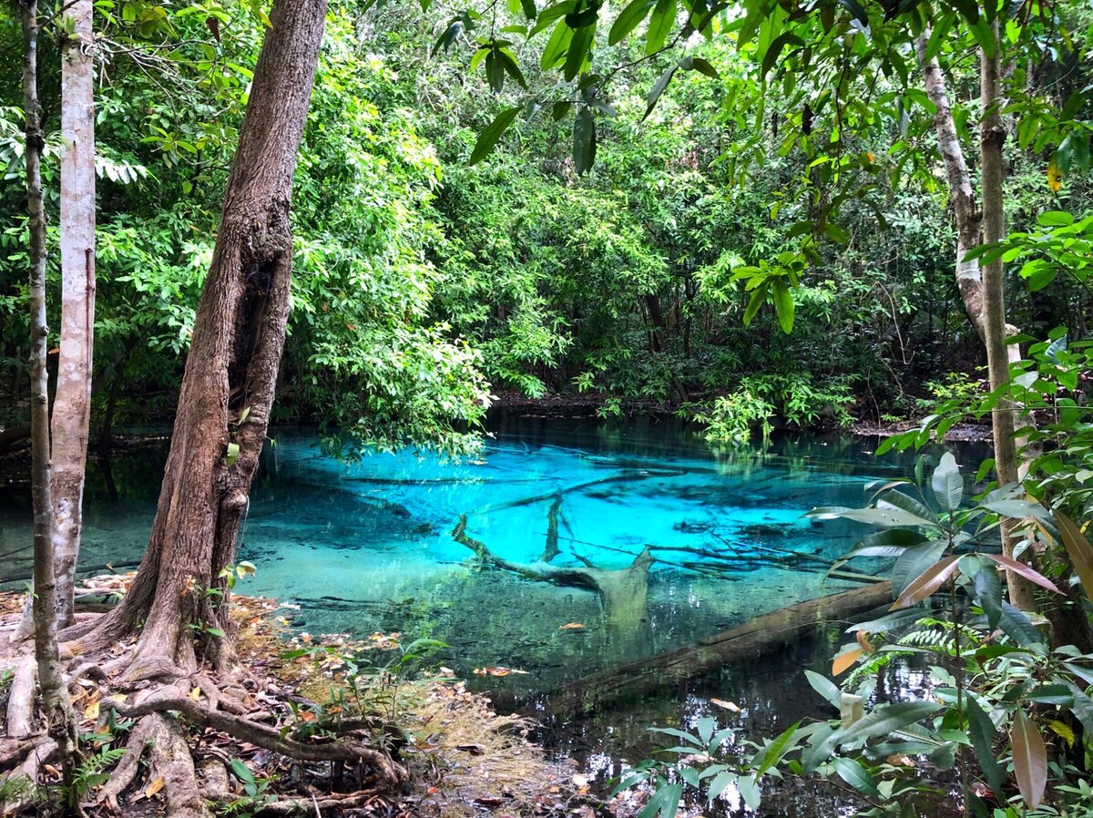 Озера бразилии 7 класс. Таиланд, провинция Краби, голубое озеро. Голубое озеро Краби. Голубые водоемы Краби Таиланд. Голубое озеро Пхукет.