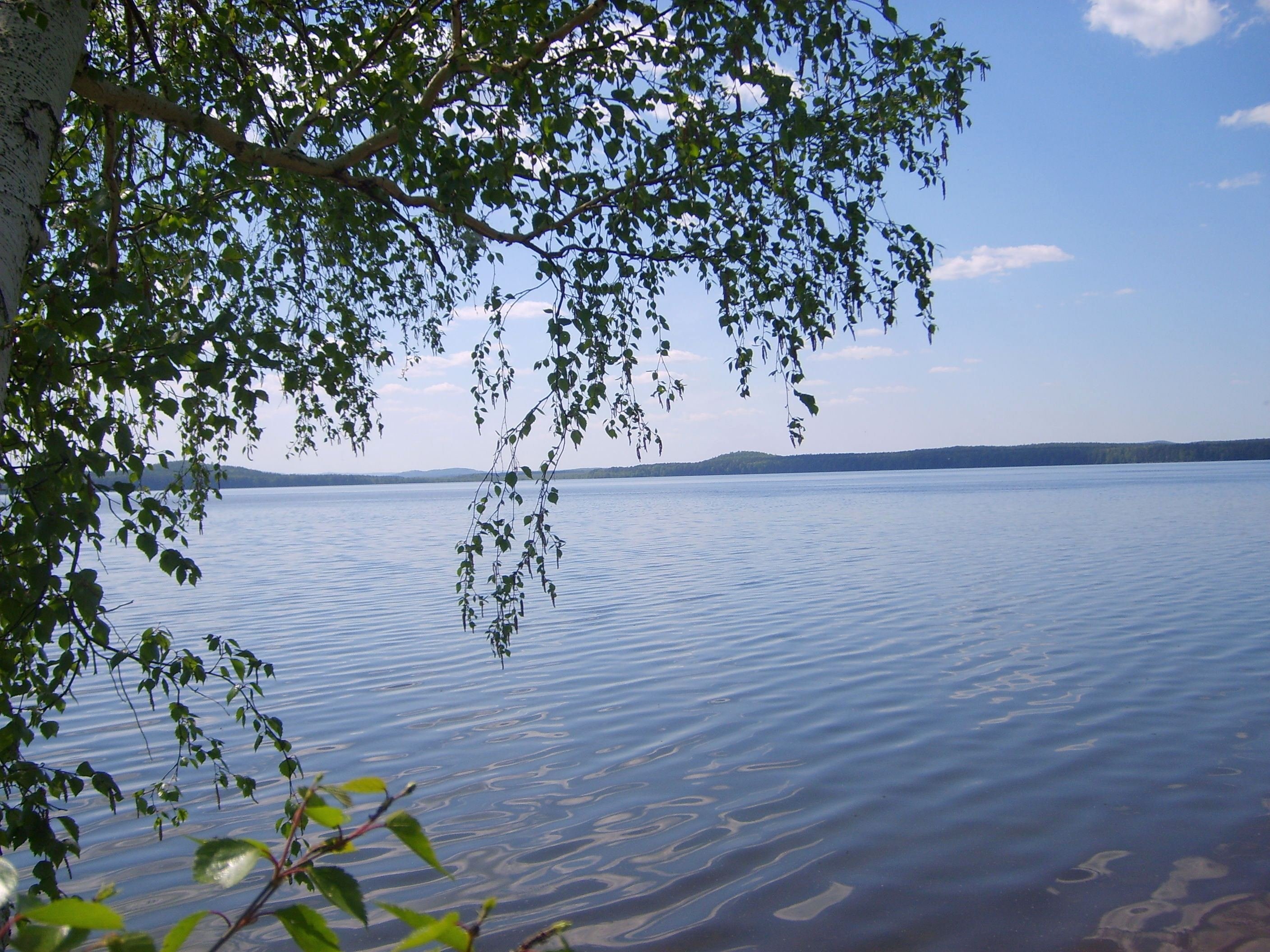 Расстояние челябинск озеро. Окункуль озеро Челябинская область. Озеро Черкаскуль Челябинская область. Челябинск озеро Окункуль. Озеро Синара.
