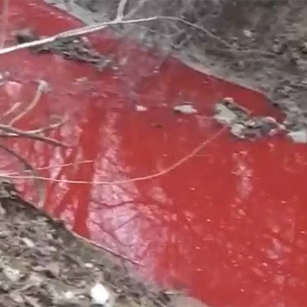 Бывает красная река. Красная река в России. Красная река в Кемерово. Красная река в России зимой. Киаснпя река в Краснодаре.