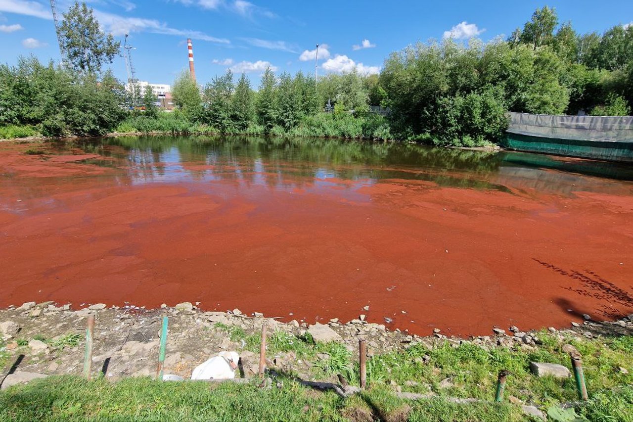 Река с красной водой. Парк Маяковского красное озеро. Красное озеро Чернобыль. Озеро красное Кучинский лесопарк. Красное озеро Димитровград.