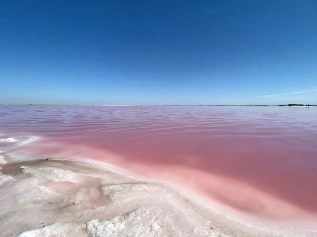 Есть розовое озеро. Озеро Сасык. Озеро Сиваш. Сасык-Сиваш. Сасык-Сиваш в Крыму.