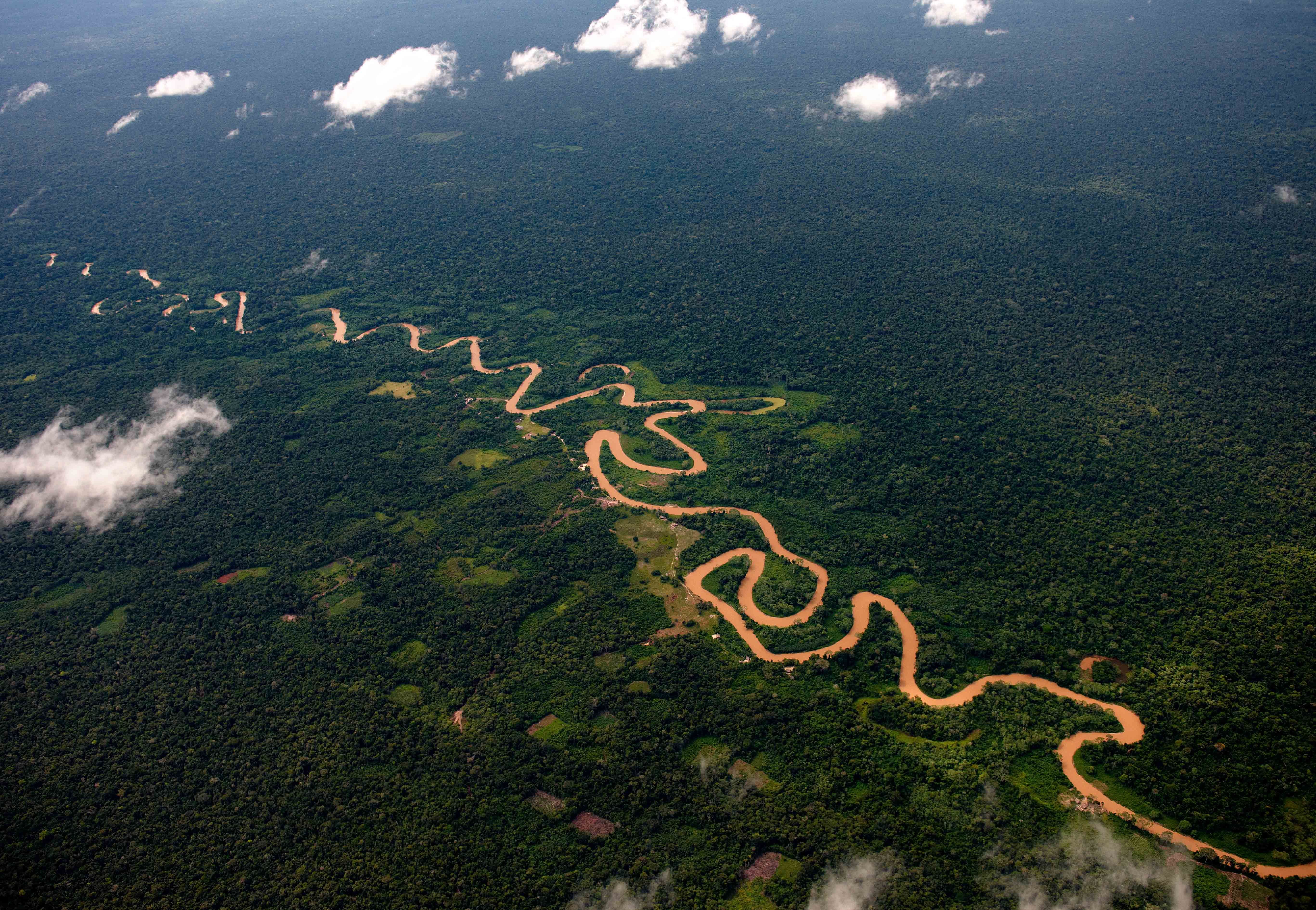 Амазонская низменность понижение рельефа в каком направлении. Река Амазонка в Бразилии. Южная Америка река Амазонка. Амазонка река Укаяли. Укаяли река в Южной Америке.