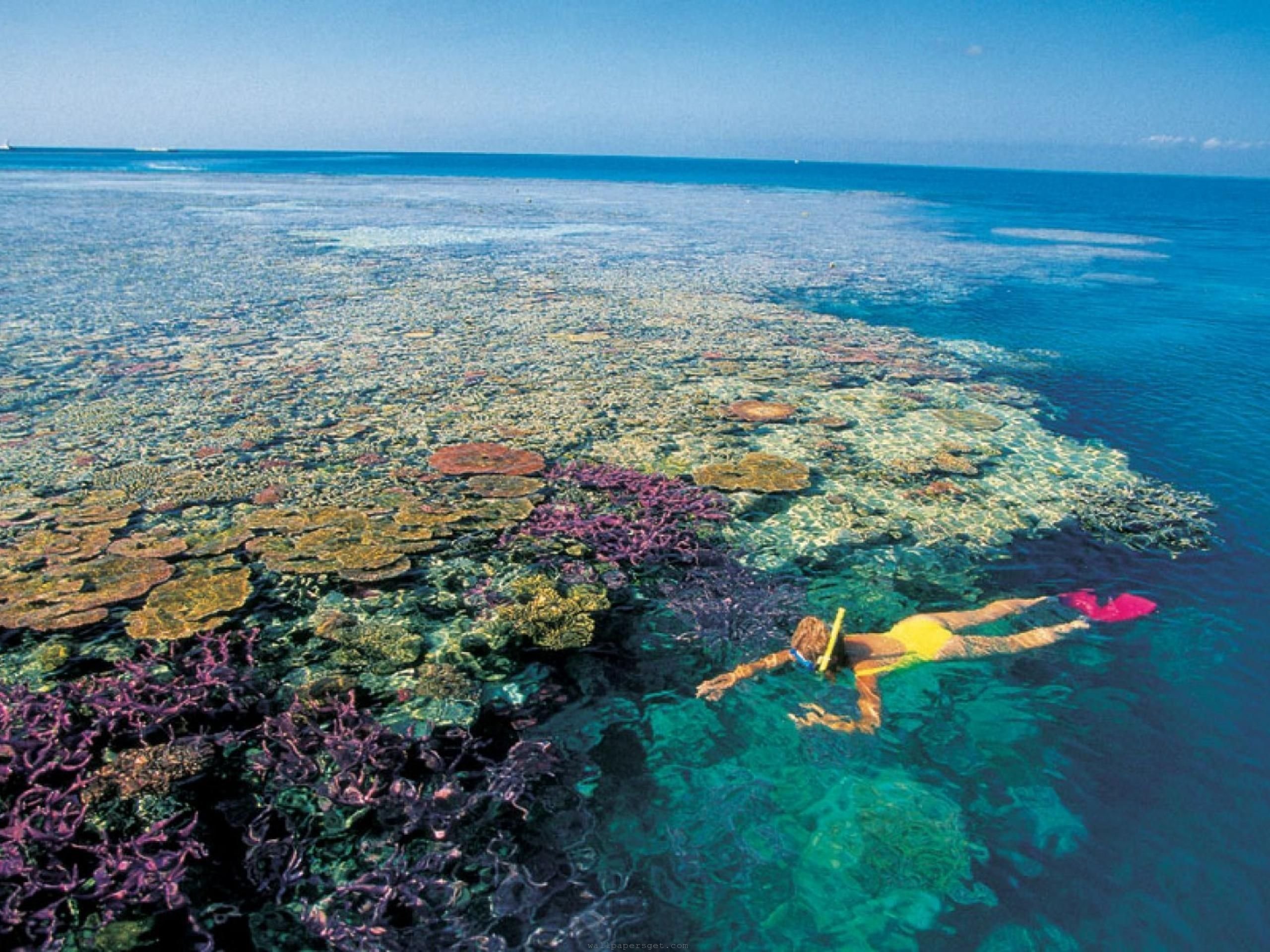 Крупнейший остров у берегов австралии. Барьерный риф в Австралии. Коралловый Барьерный риф. Большой Барьерный коралловый риф в Австралии. Большой Барьерный риф (ББР), Австралия.