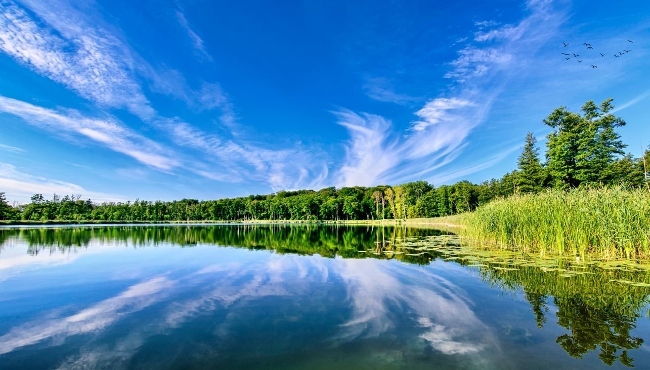 Лето озеро картинки красивые. Пейзаж 360. Легкий фон лето озеро. Фон для ai лето озеро. Обои на телефон озеро
