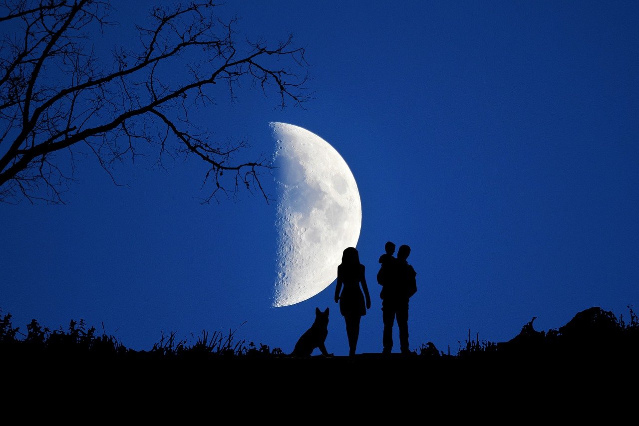 Говорили под луной. Половина Луны. Силуэт на фоне Луны. Ночь Луна. Ночь полнолуния.