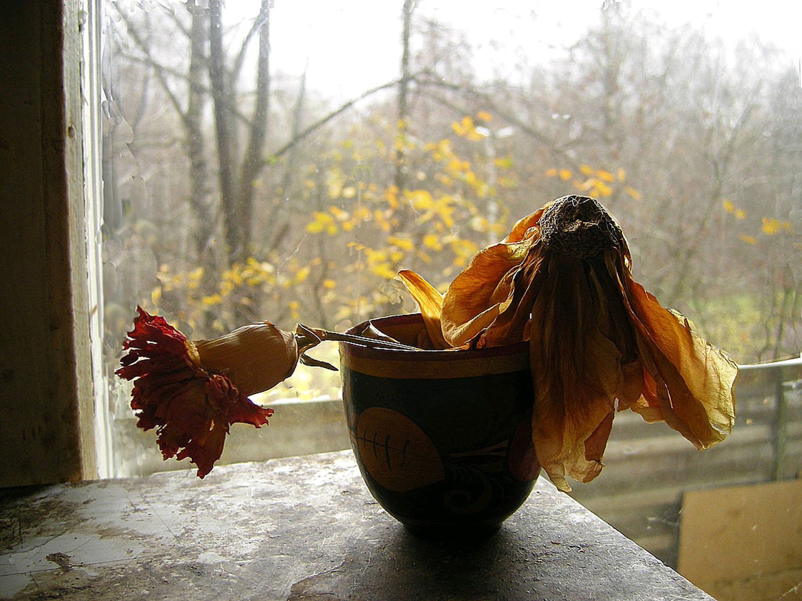 Я найду свое счастье по увядшим цветам. Увядший цветок Шариф Камал. Увядающий цветок. Увядший цветок на подоконнике. Засохшие цветы.