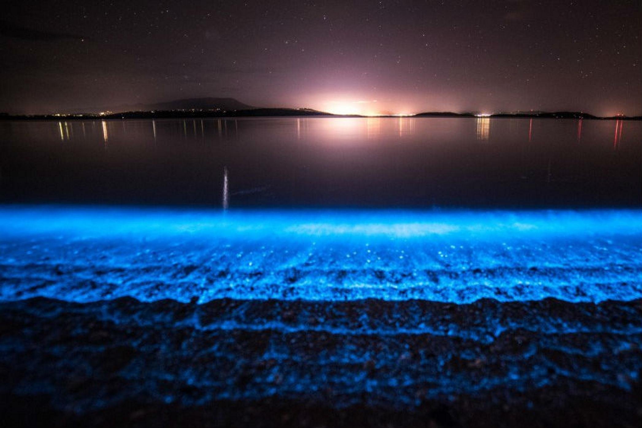 Г фитопланктон. Озеро Гипселенд Австралия. Озеро Джипсленд Австралия. Остров Ваадху Мальдивы.