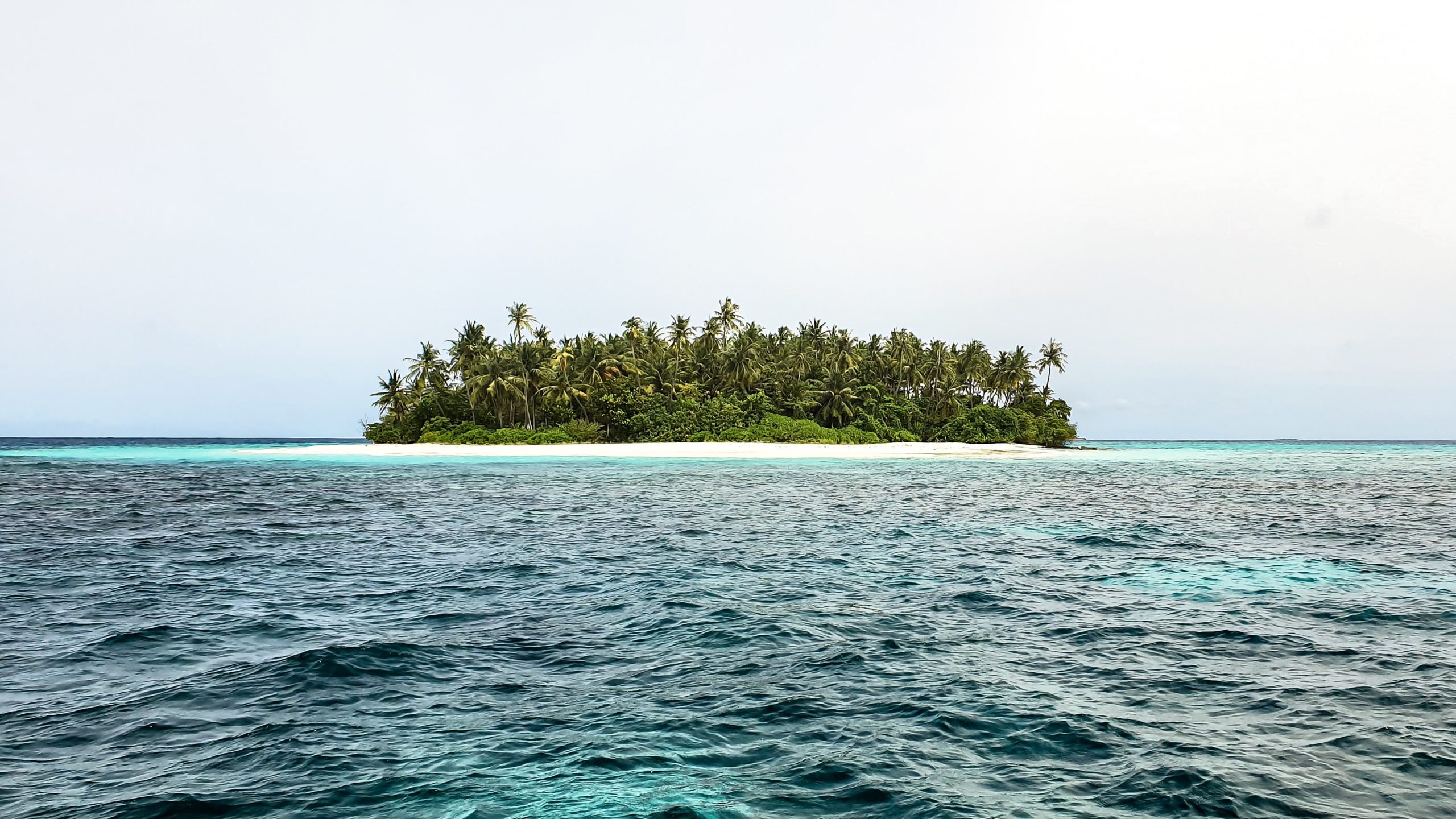 Нейтральные острова. Необитаемые острова Тихого океана. Никумароро остров. Необитаемый остров фото. Мальдивы необитаемые острова.
