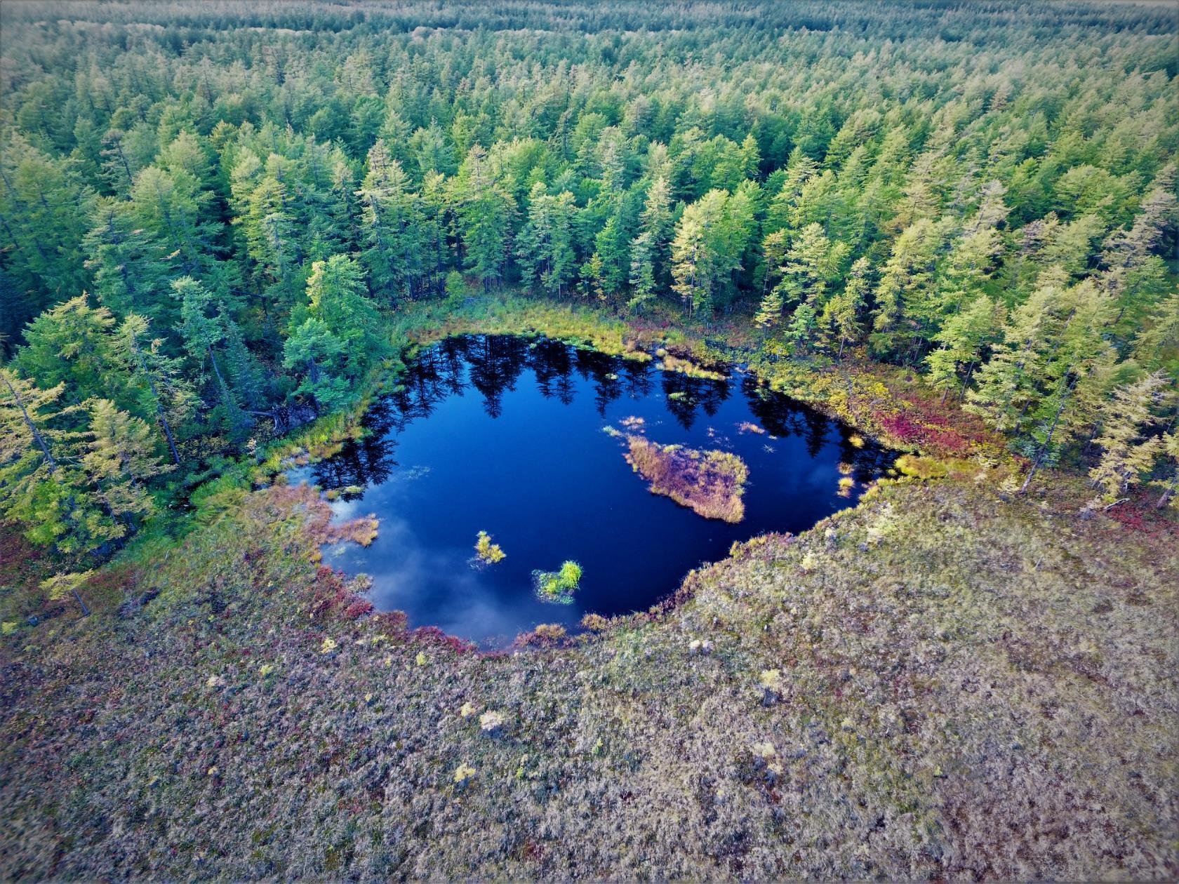 Острова озера глубокого. Озеро глубокое Ленинградская область. Озеро Суналампи. Озеро светленькое Вишневогорск. Озеро ярко сияет.