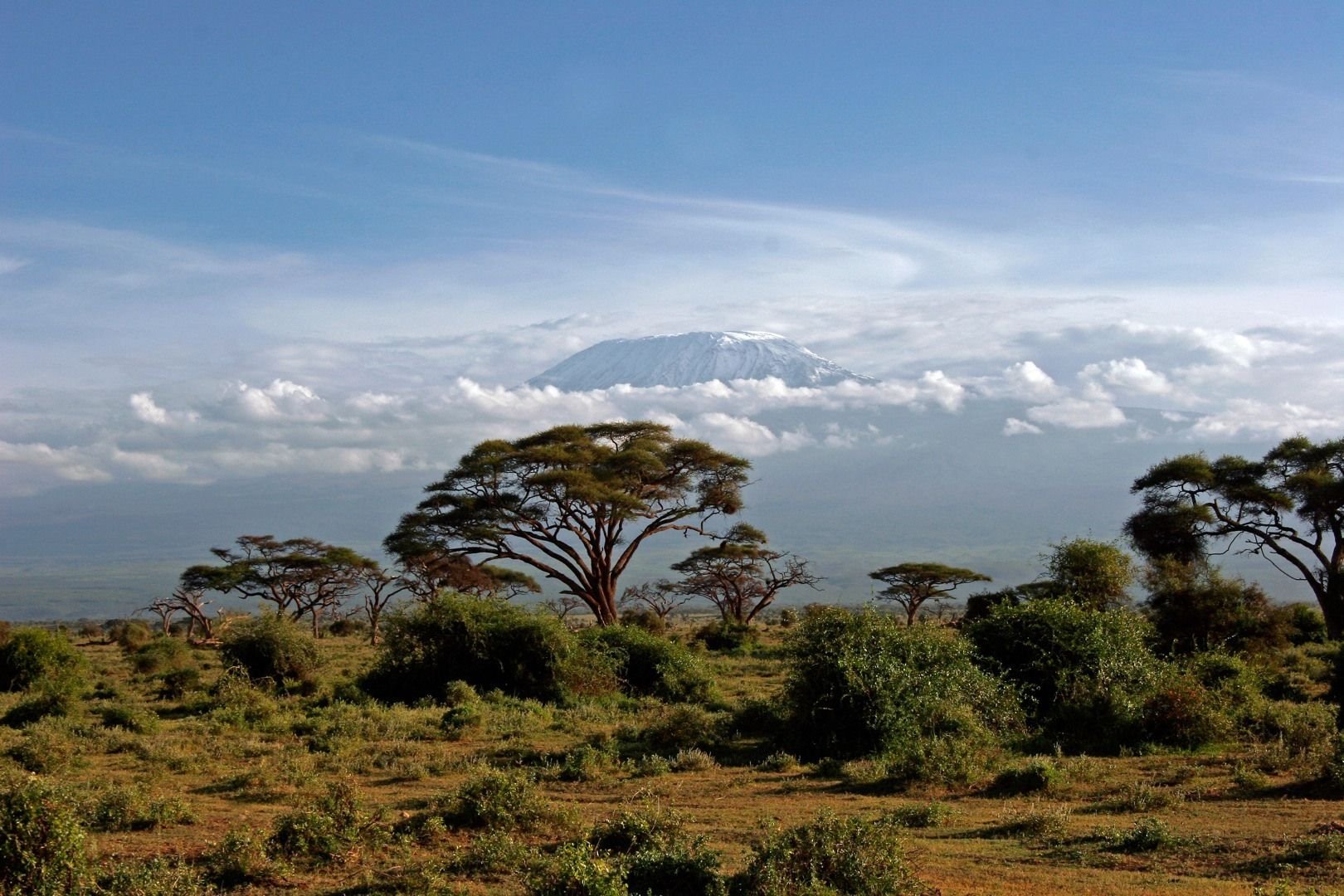 Саванны редколесья и кустарники северной америки. Национальный парк Амбосели Кения. Национальный парк Килиманджаро в Африке. Национальный парк Килиманджаро в Танзании. Саванна Килиманджаро.