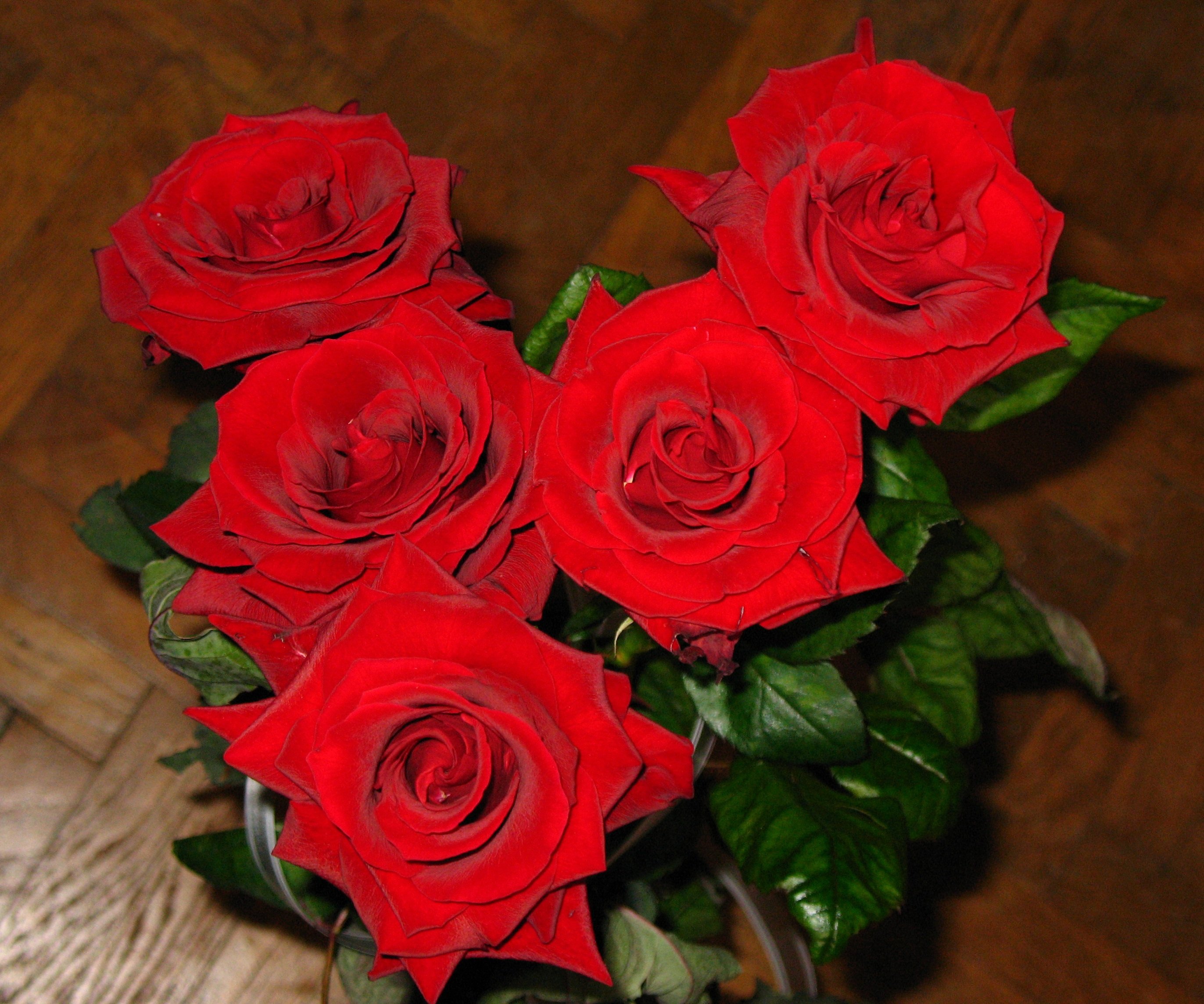 Сделать 2 фото розы. Красные розы. Букет красных роз. Пять роз. Пять красных роз.