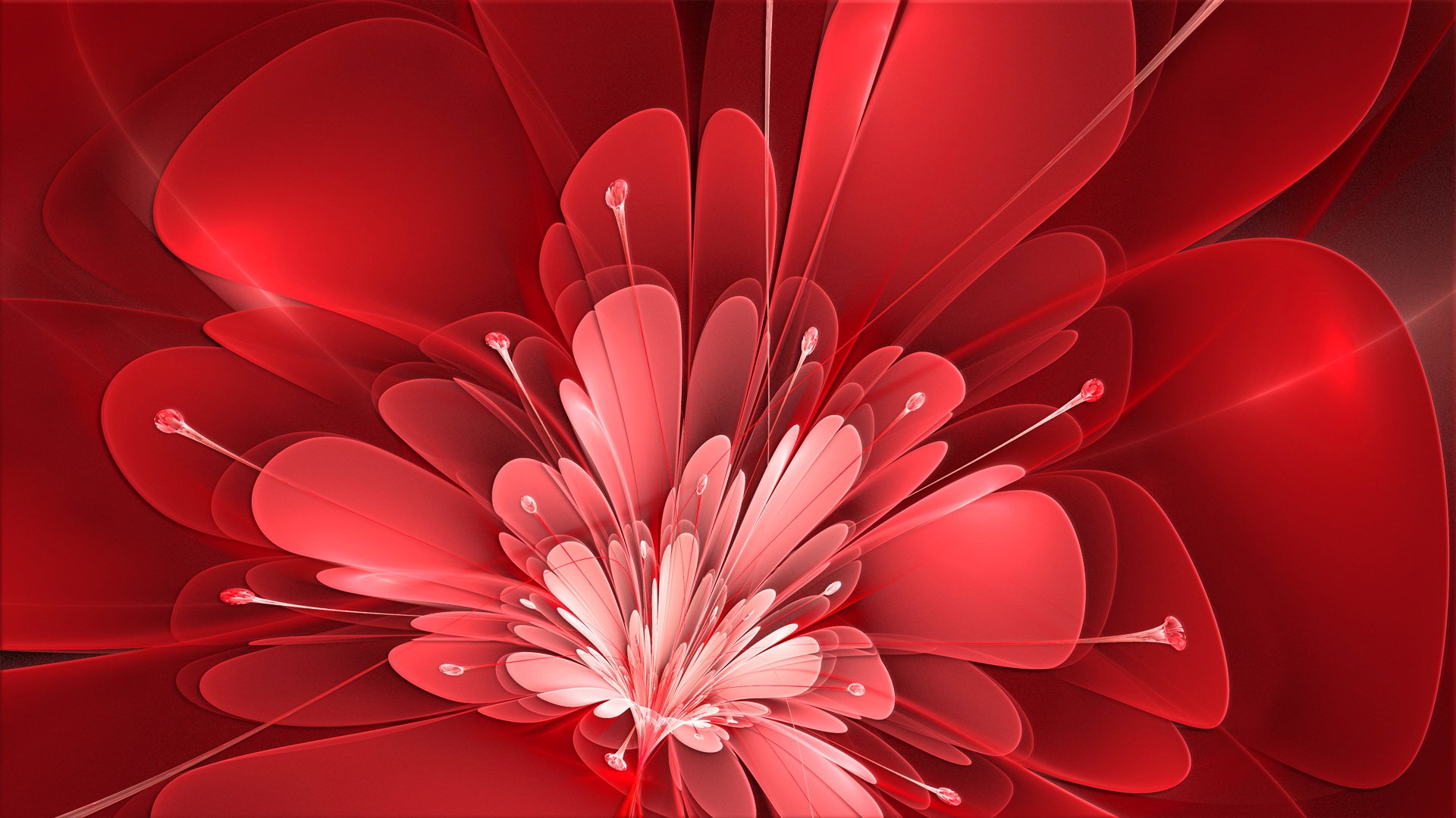 Красивый цветок на фон телефона. Цветы абстракция. Красный цветок. Красивая абстракция. Цветочный фон.