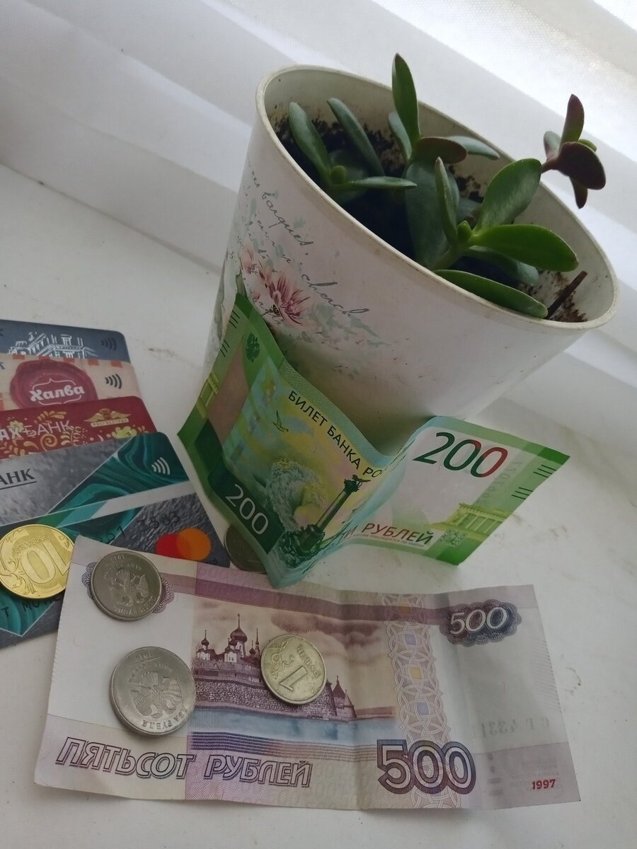 Что нужно чтобы водились деньги. Растения привлекающие деньги. Приманить деньги. Денежные цветы для притягивания денег. Денежное дерево для привлечения денег.