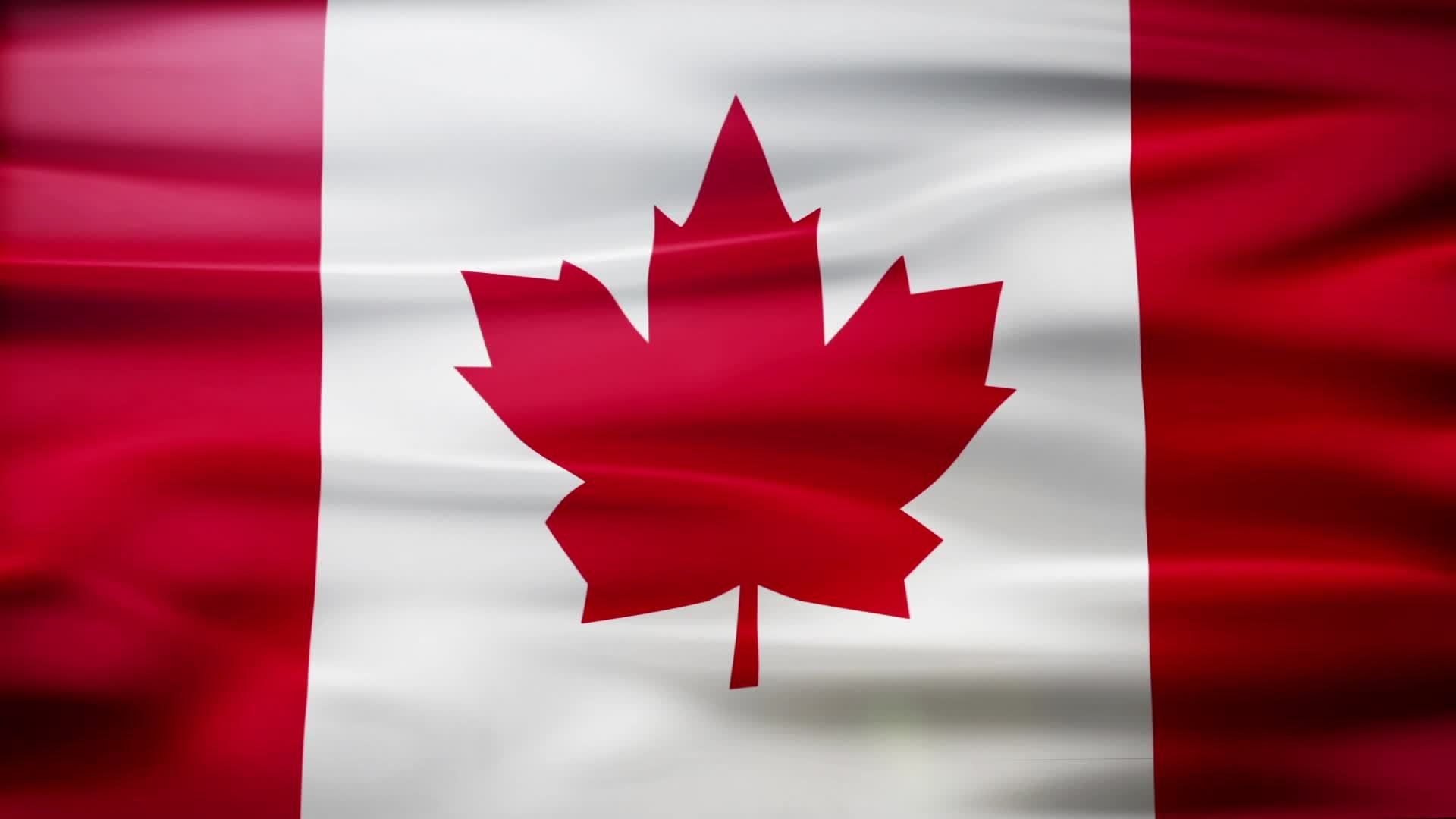 Канада ли. Флаг Канада. Флаг Канады фон. Обои на рабочий стол Канада. День флага Канады.