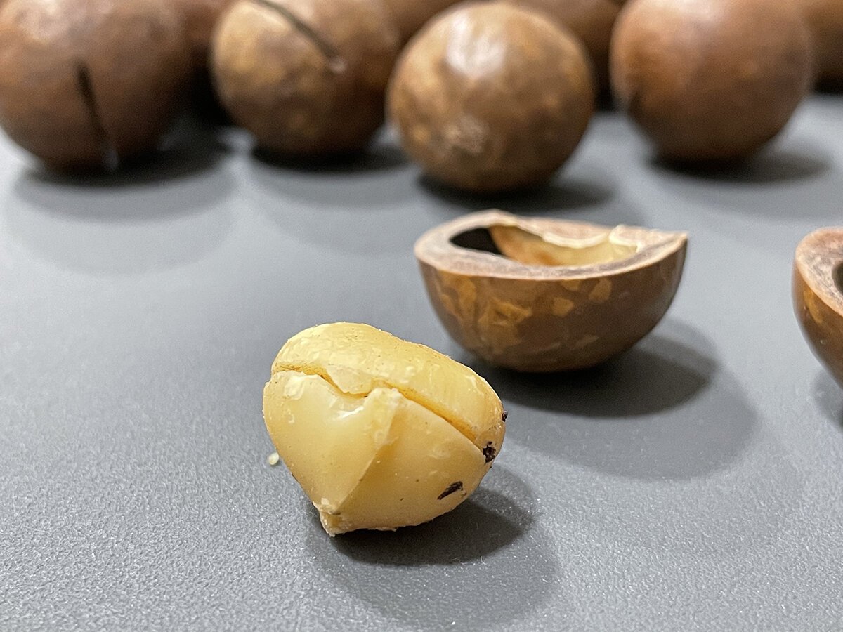 Самый крепкий орех в мире - фото и картинки: 68 штук