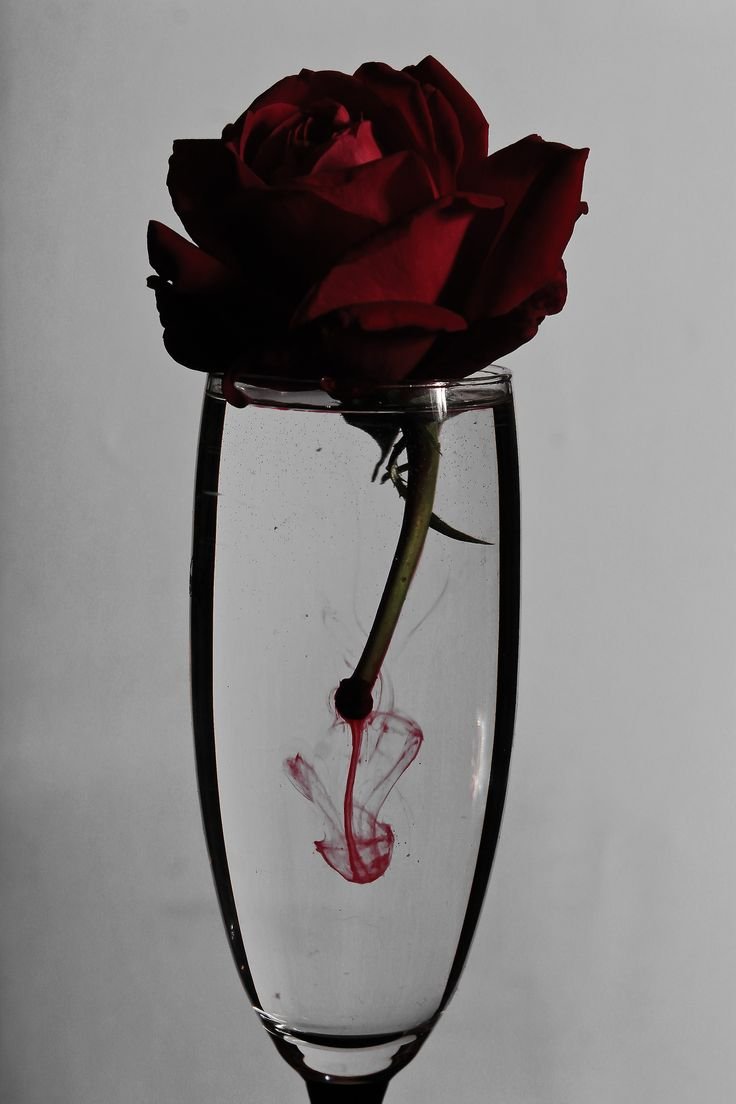 Красные розы в стакане