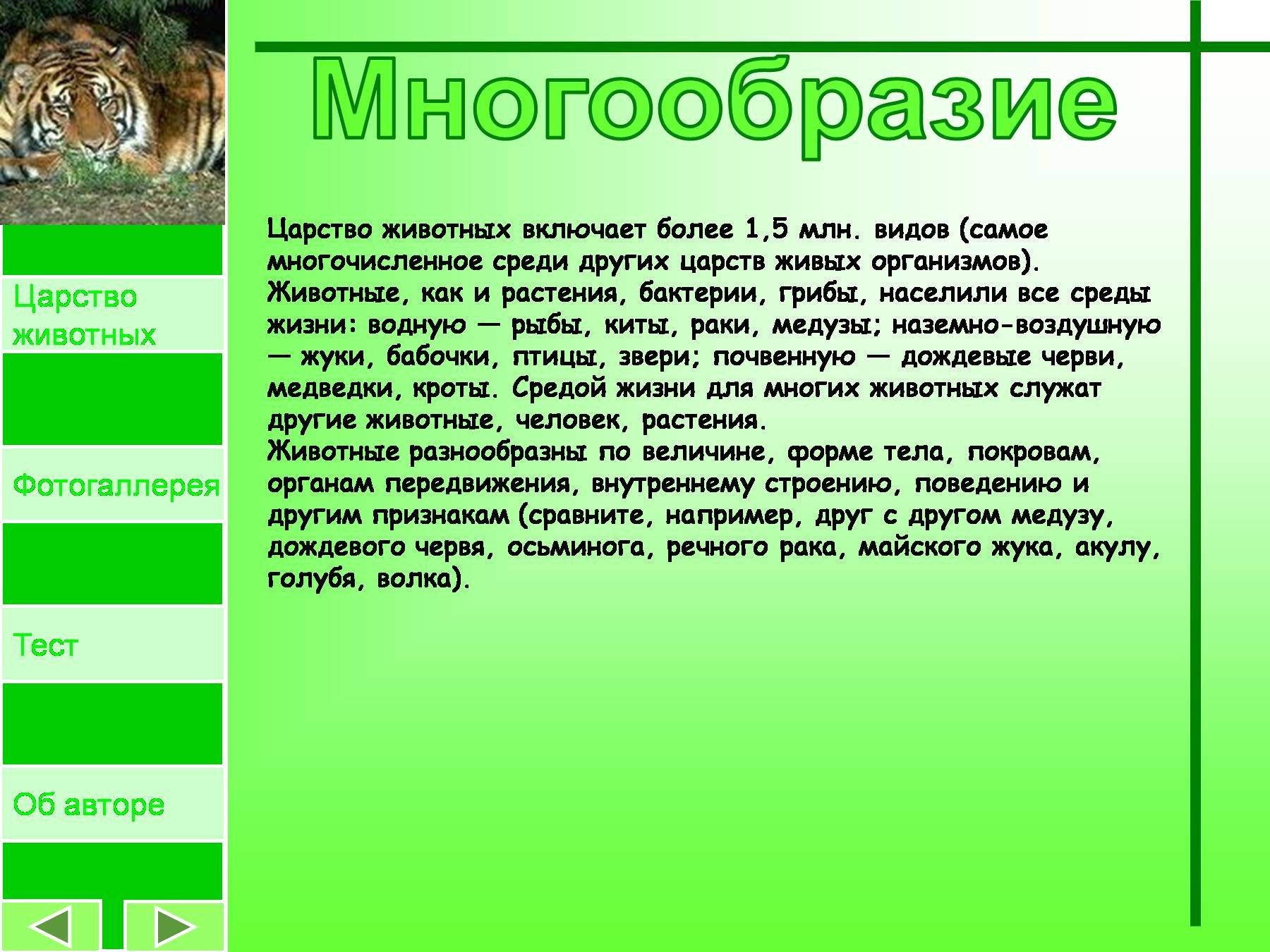 Проект по биологии про животных. В царстве животных. Разнообразие царства животных. Сообщение о царстве животных. Доклад о царстве животных.