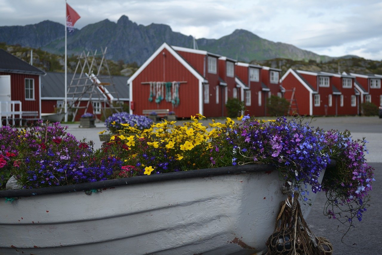 Цветы норвегии. Норвежские цветы. Цветы у домов в Норвегии. Фьорды цветы. Цветок символ Норвегии.