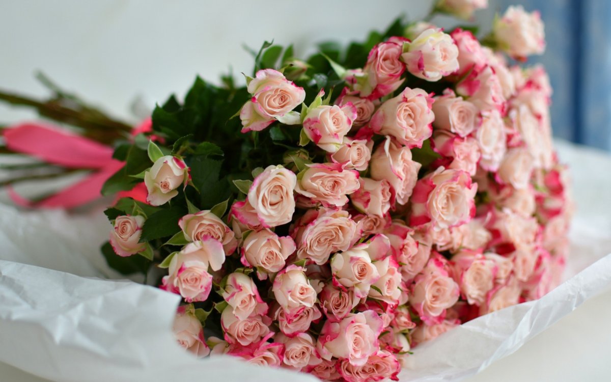 Цветы розы красивые букеты