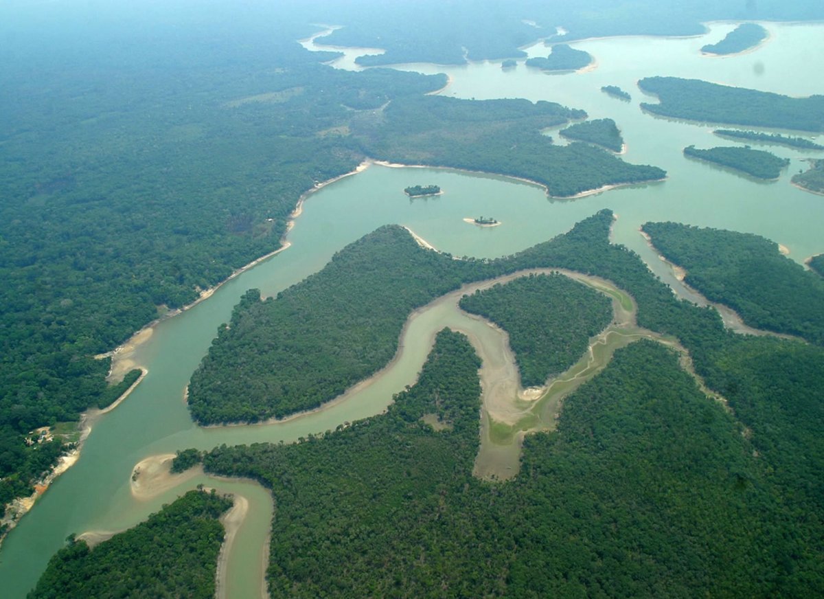 Устье реки амазонка