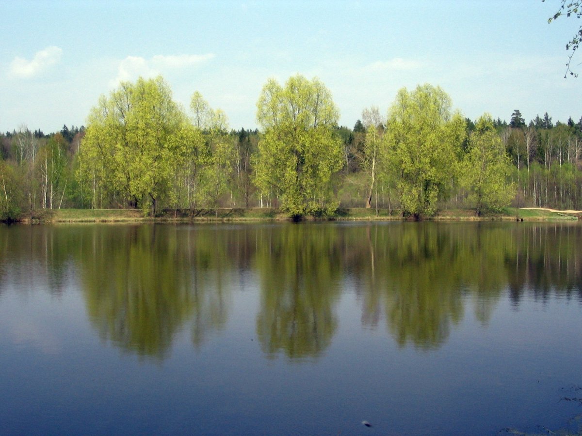 Светлое озеро чувашия
