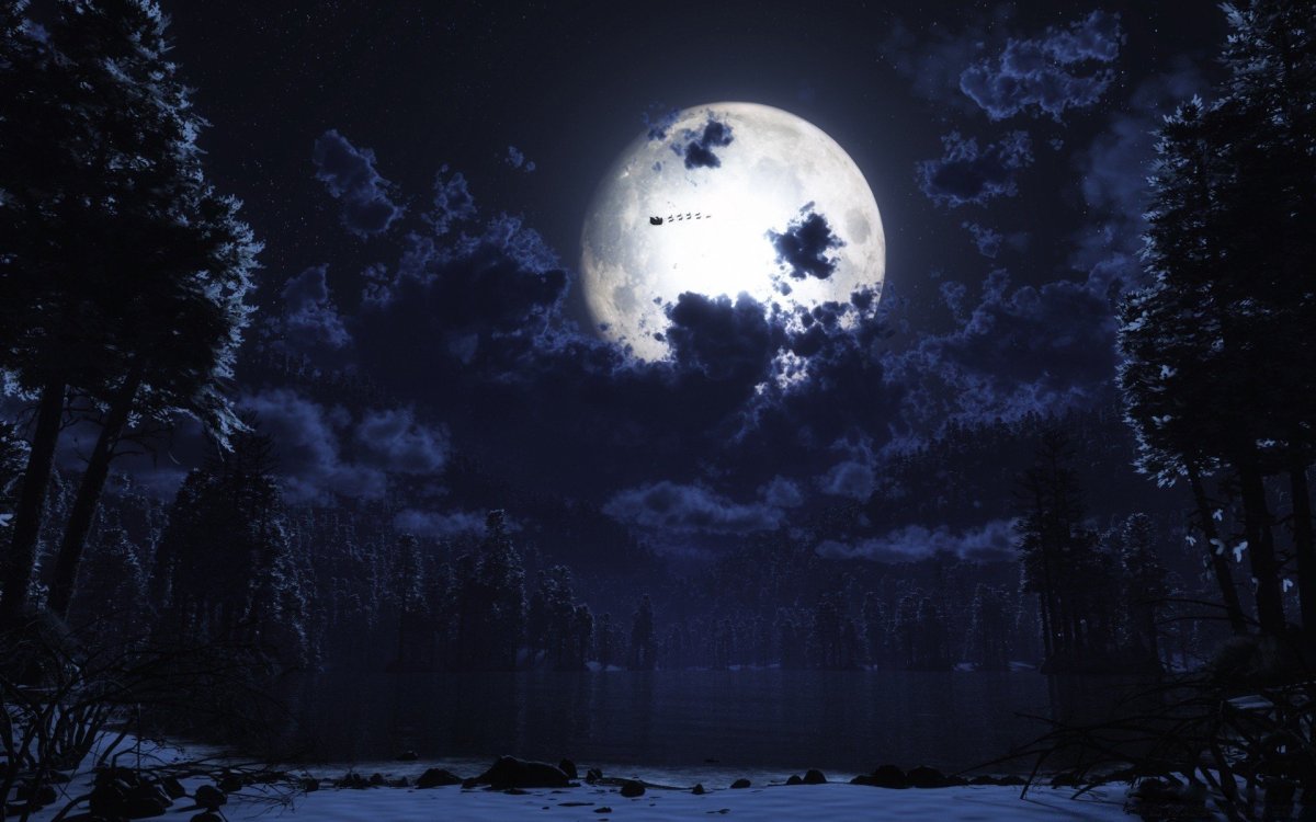 Ночь лес луна