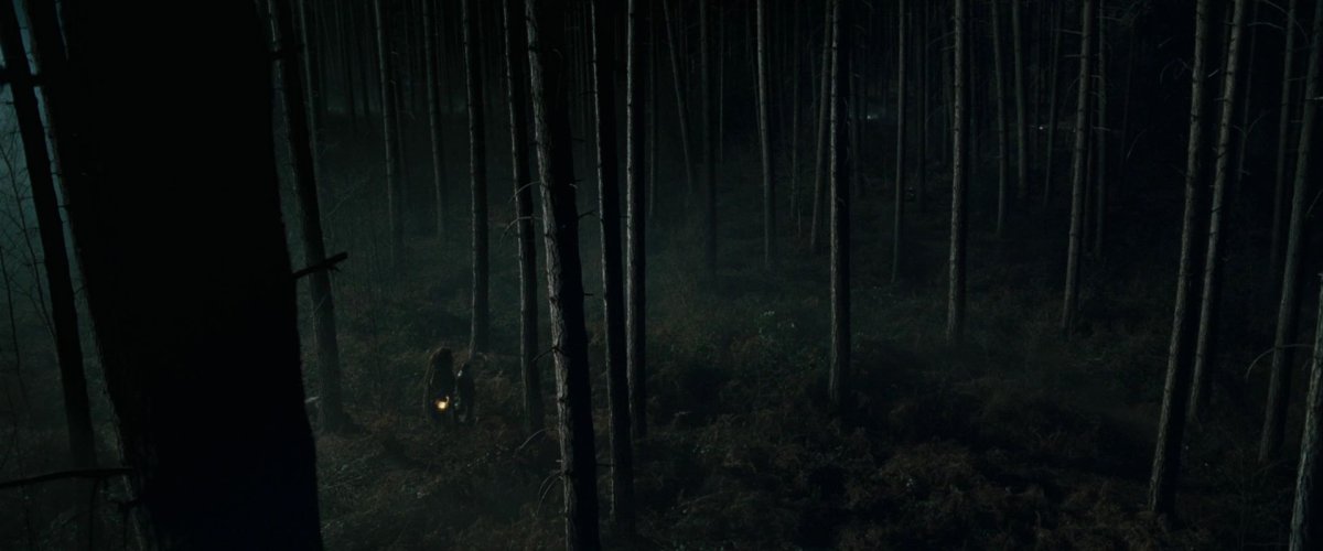Гарри поттер лес