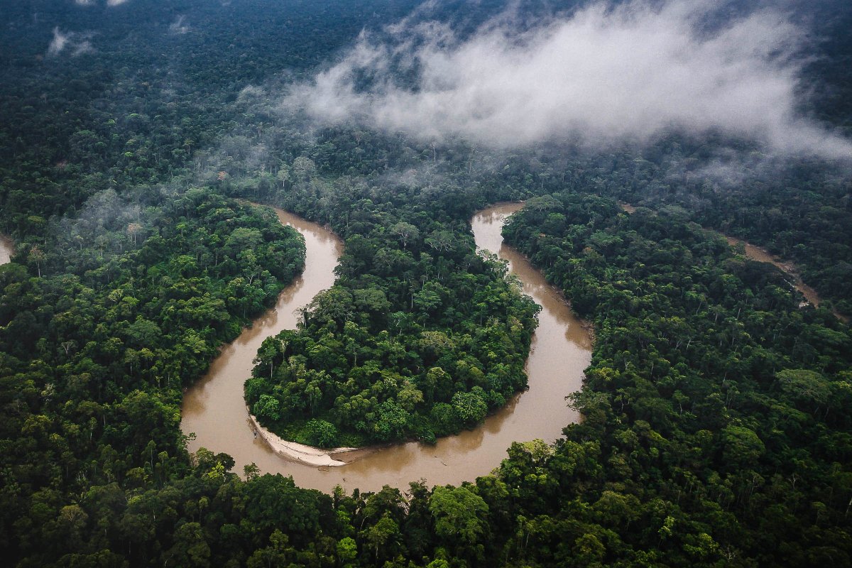 Тропические леса амазонки