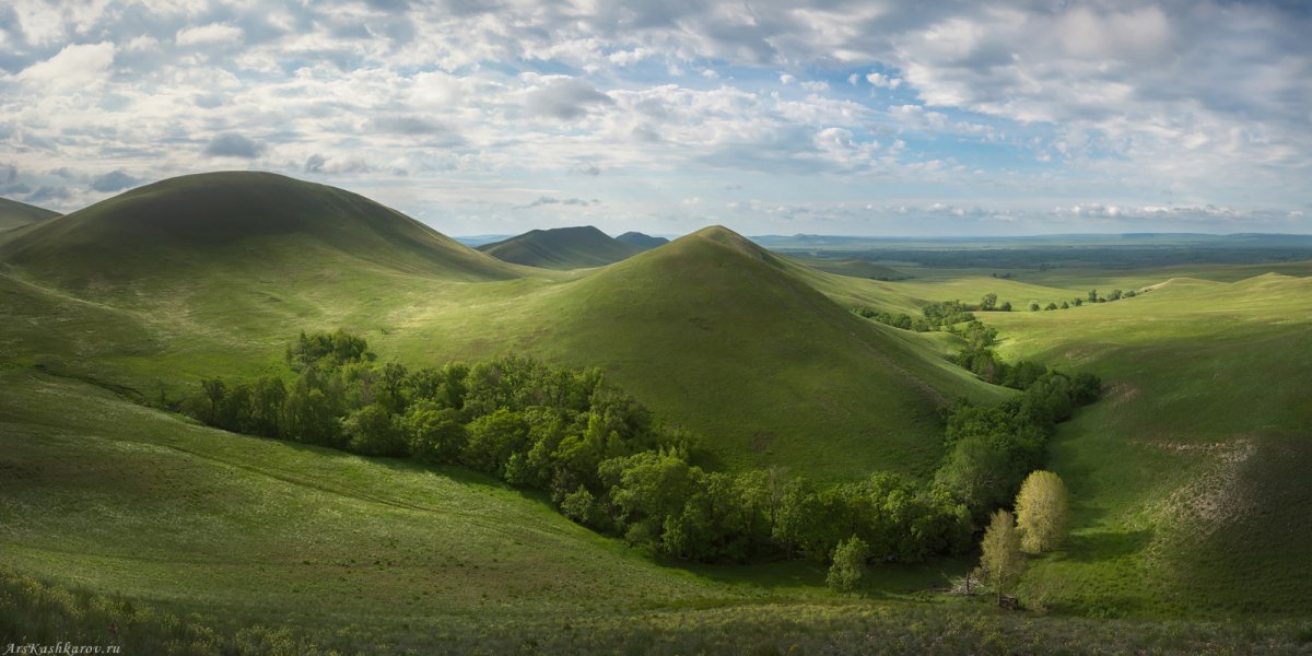 Степная зона