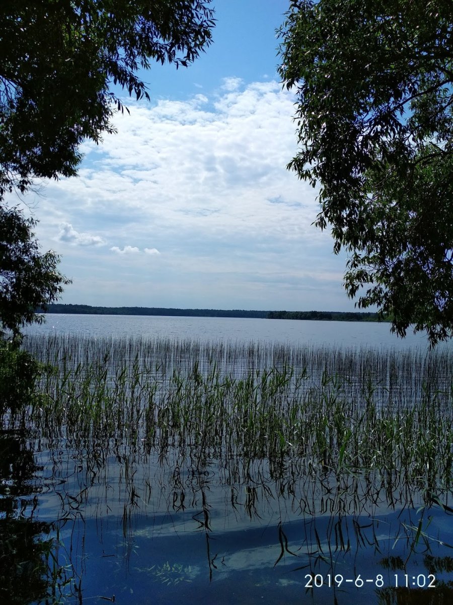 Озеро селява беларусь